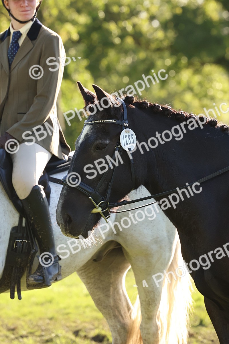 SBM_52665 - S13 - Pony Club Pony