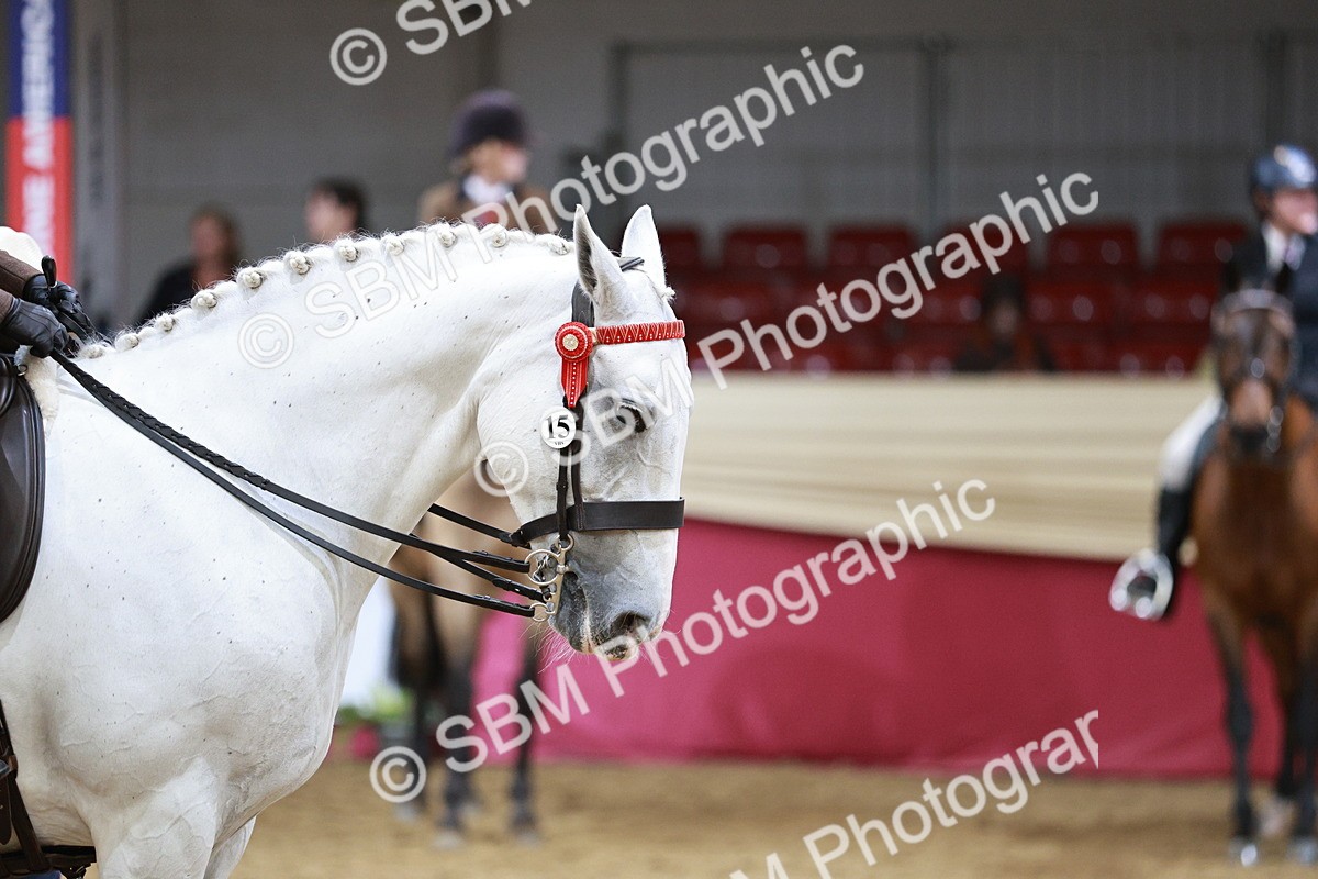 SBM_03478 - Class 6A Area Ridden Pre-Vet