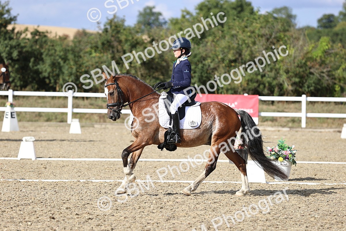SBM_015989