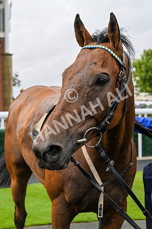 150725-Race 6-Dr Rio-1021 - Race 6