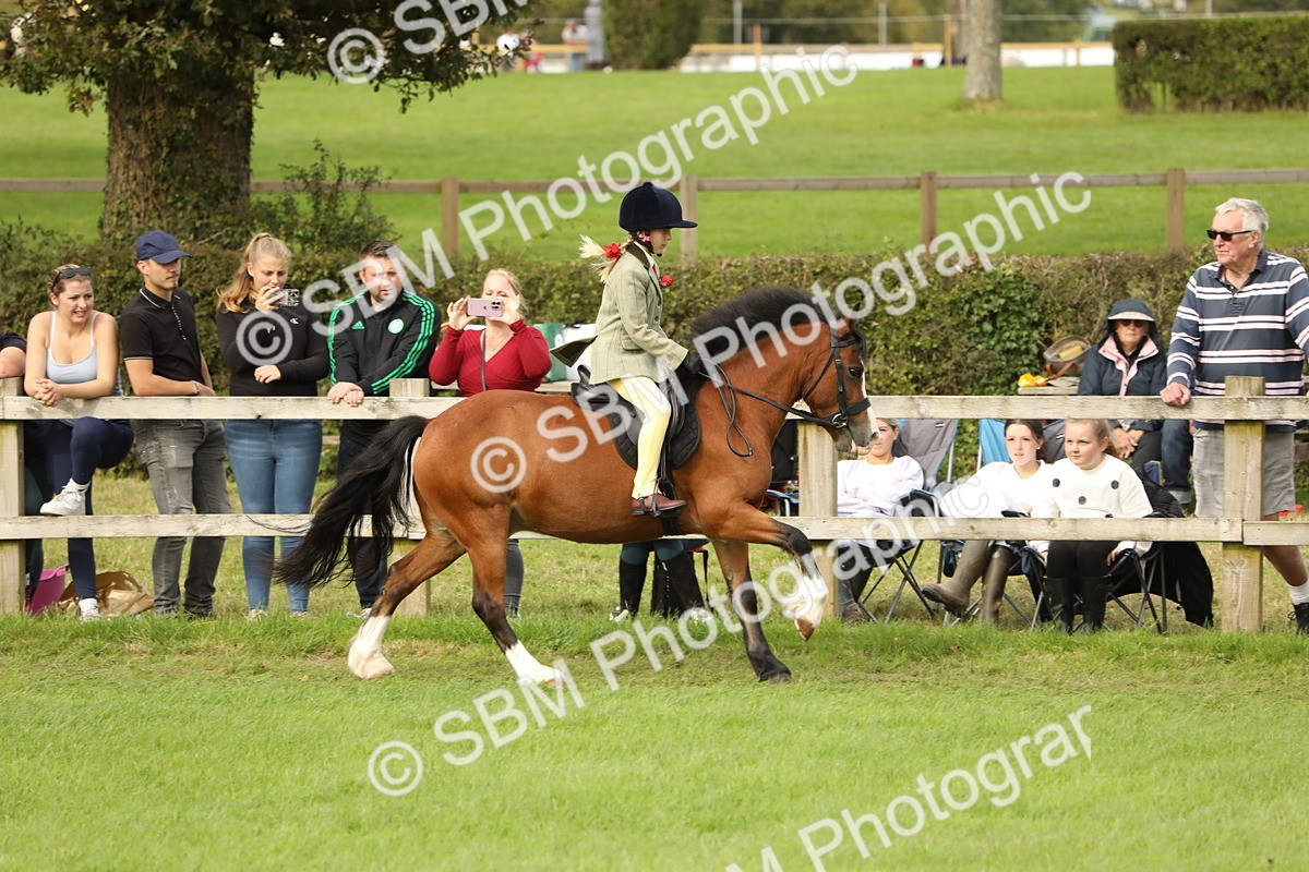 SBM_71543 - S41 - Ridden Equitation (Best Rider)