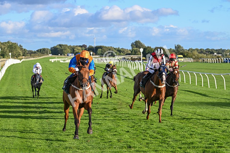 100924-Race 8-Homer Stokes-0875 - Race 8