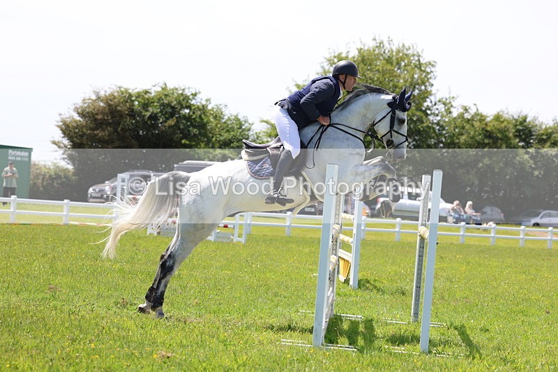 3E7A1285 - Class 12: Senior Foxhunter/1.20 open