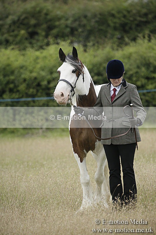 B230619-0061 - Bourne Valley Riding Club Summer Show 23/06/19