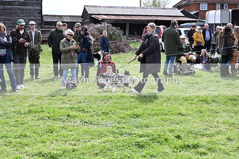 WJ6_8266 - Class 4 Prettiest Bitch