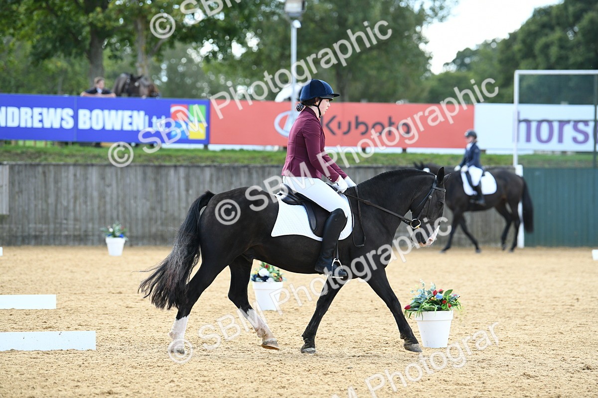 SBM_04600 - D7 Small Tour Championship Prelim 1