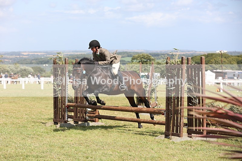 JPP_2173 - Class 19: Working Hunter 60cm