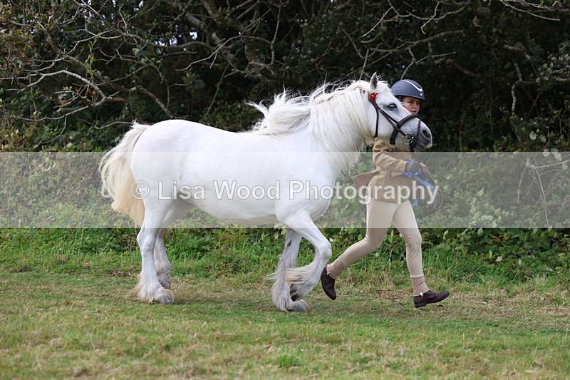 3E7A5630 - In Hand Championship