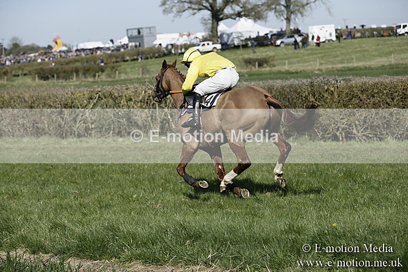 PtP 250317 134 - V.W.H. Hunt Point-to-Point Siddington 25/03/17