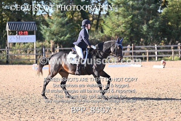BPP_8567 - LONG ARENA