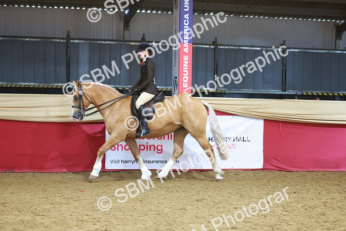 SBM_09427 - Class 102 - HOYS Veteran Qualifier - Ridden Veteran