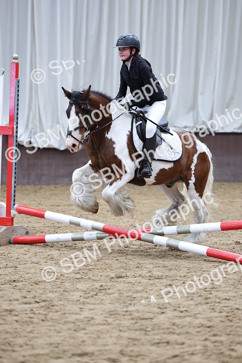 SBM_006923 - Class 1 - 40cm showjumping