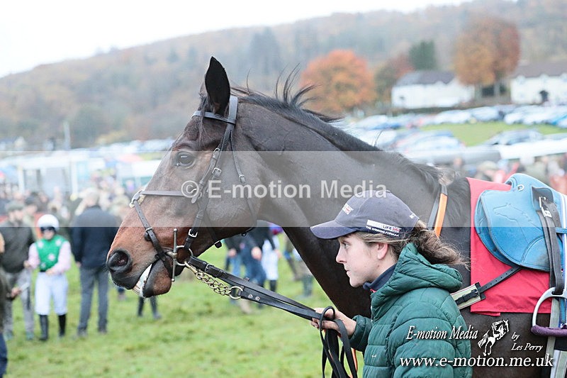 PtP 091125 0684 - Point-to-Point Wales Area Club Lower Machen, Gwent 09/11/25