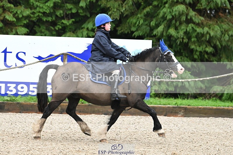 250418A-081103-00037 - NSEA GR 40cm and 50cm