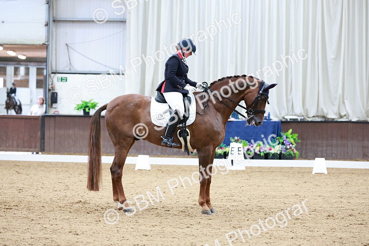SBM_017948 - Class 15 - FEI Junior