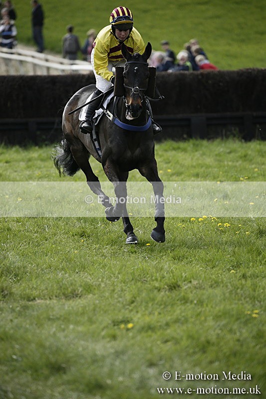 PtP 170417 434 - Old Berks Point-to-Point Lockinge 17/04/17