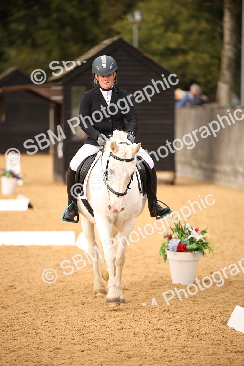 SBM_12313 - D3 Small  Tour Championship Intro A