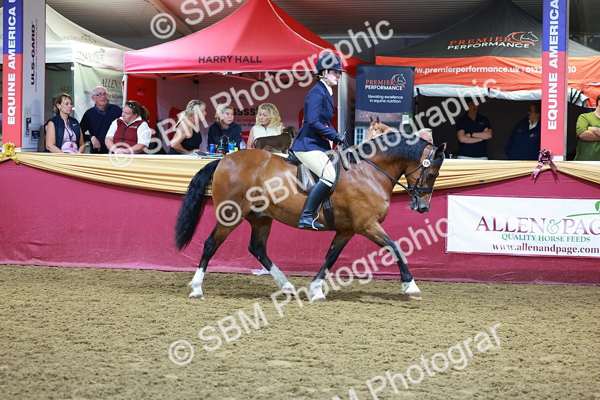 SBM_15257 - Class P - M&M Champ