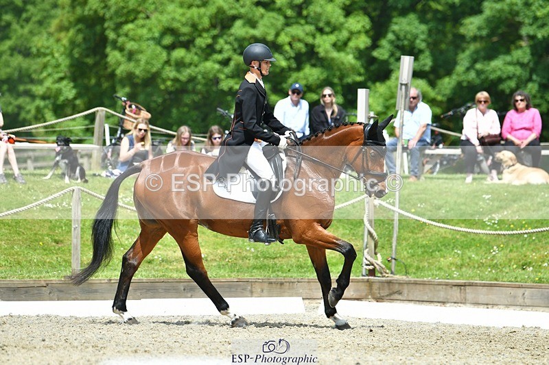 230525-113403-04050 - 201-JAEGER_MASTER-Tom_Woodward-WEDTrotUp+DR