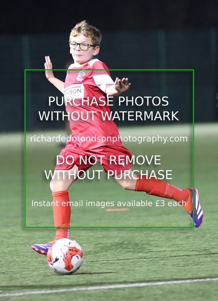 IMG_1788 - Ibis U12