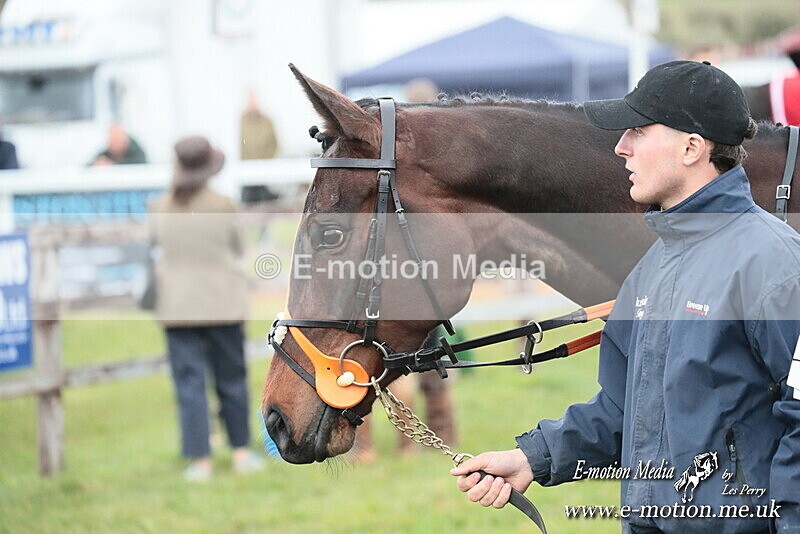 PtP 130425 344 - Edgecote Races 13/04/25
