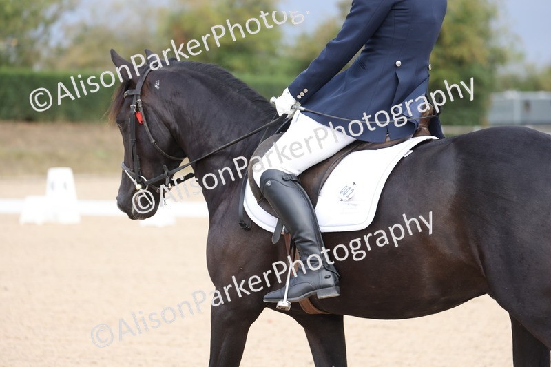 20250819-0803 - Class 1 - Intro 1