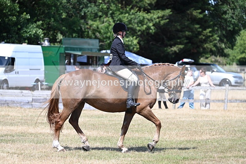 WJ7_3635 - Class 8 Ridden Veterans