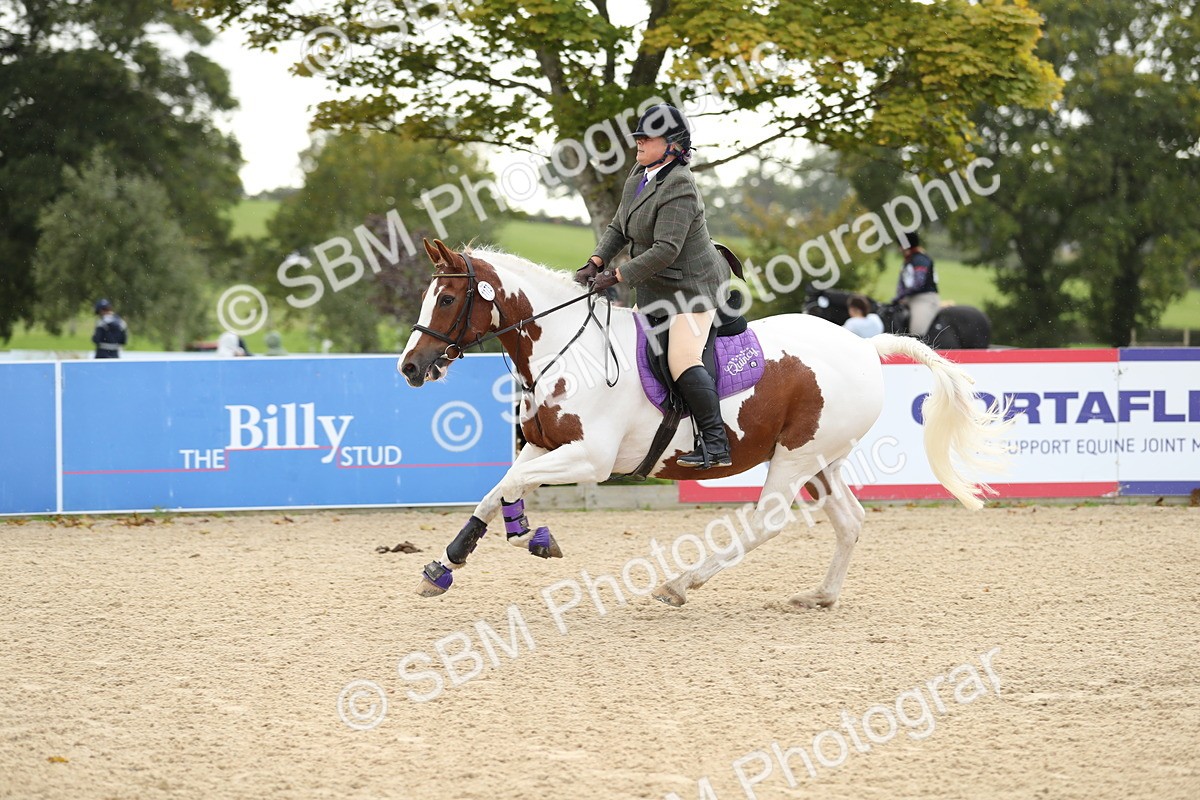 SBM_09888 - J36 - Veteran Rider 70cm