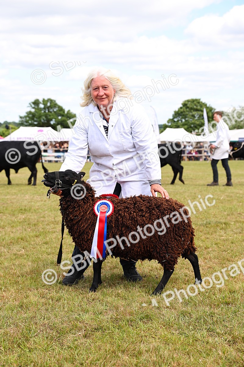 SBM_16966 - Grand Parade