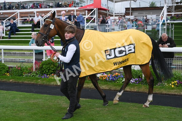 yr11062022r3-44 - Race 3 2.35pm The JCB Stakes