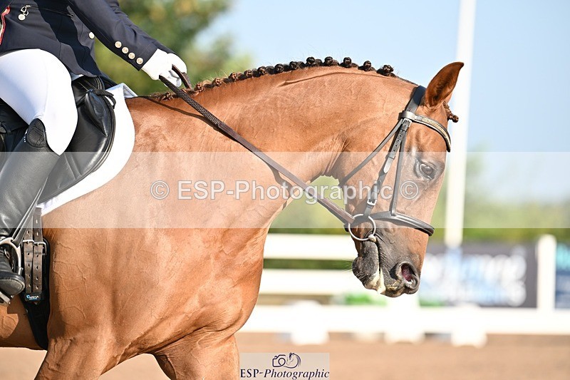 250816-083544-02431 - 104-LOOBY.CHUBBRun.the.risk