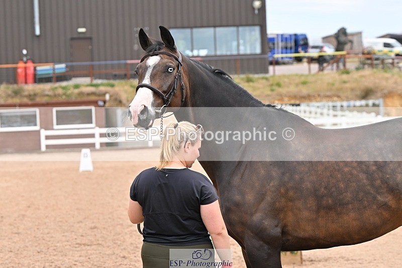 250716-144641-01386 - Trot Up 2.30 to 3.30