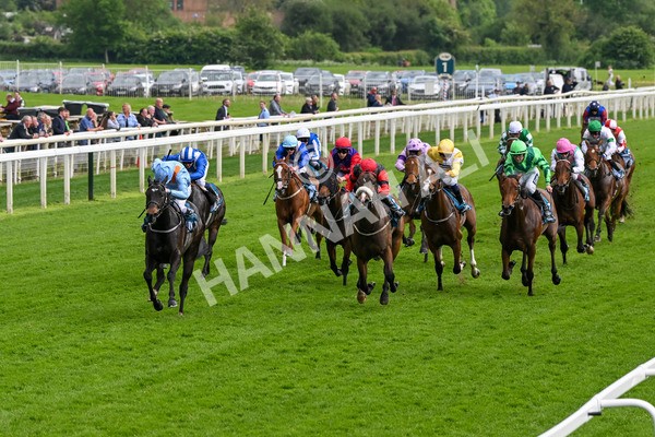 150524-Race 5-Diligent Resdev-4394 - Race 5 4.15pm Conundrum HR Consulting Handicap