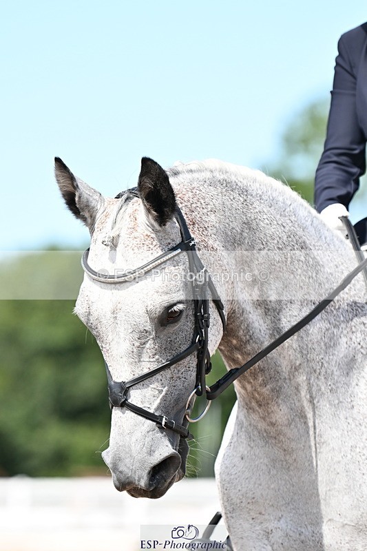 240816A-143641-05450 - 257-Looby.Marsden-RAINBOW.DREAM