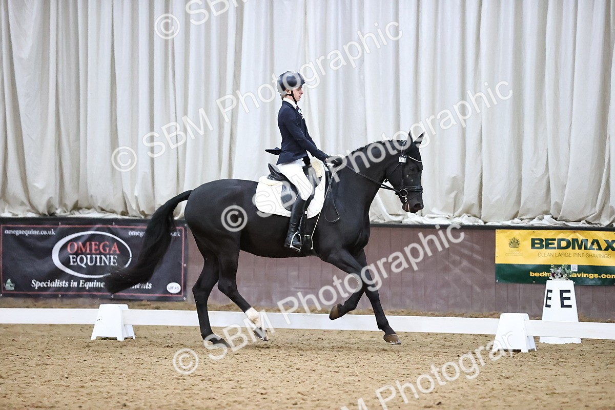 SBM_004324 - Intermediate