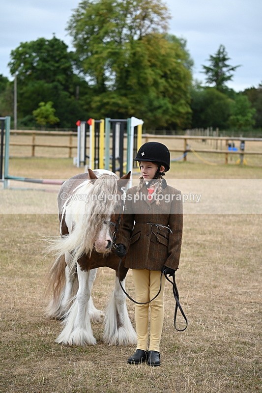 WJ6_8238 - Class 10 Coloured in Hand