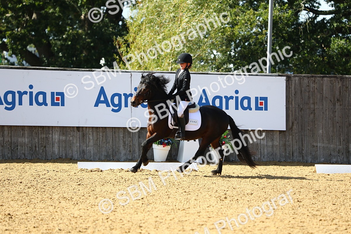 SBM_49095 - D23 - Junior Championship Prelim 1