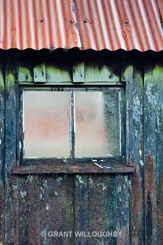  - Detail in the land