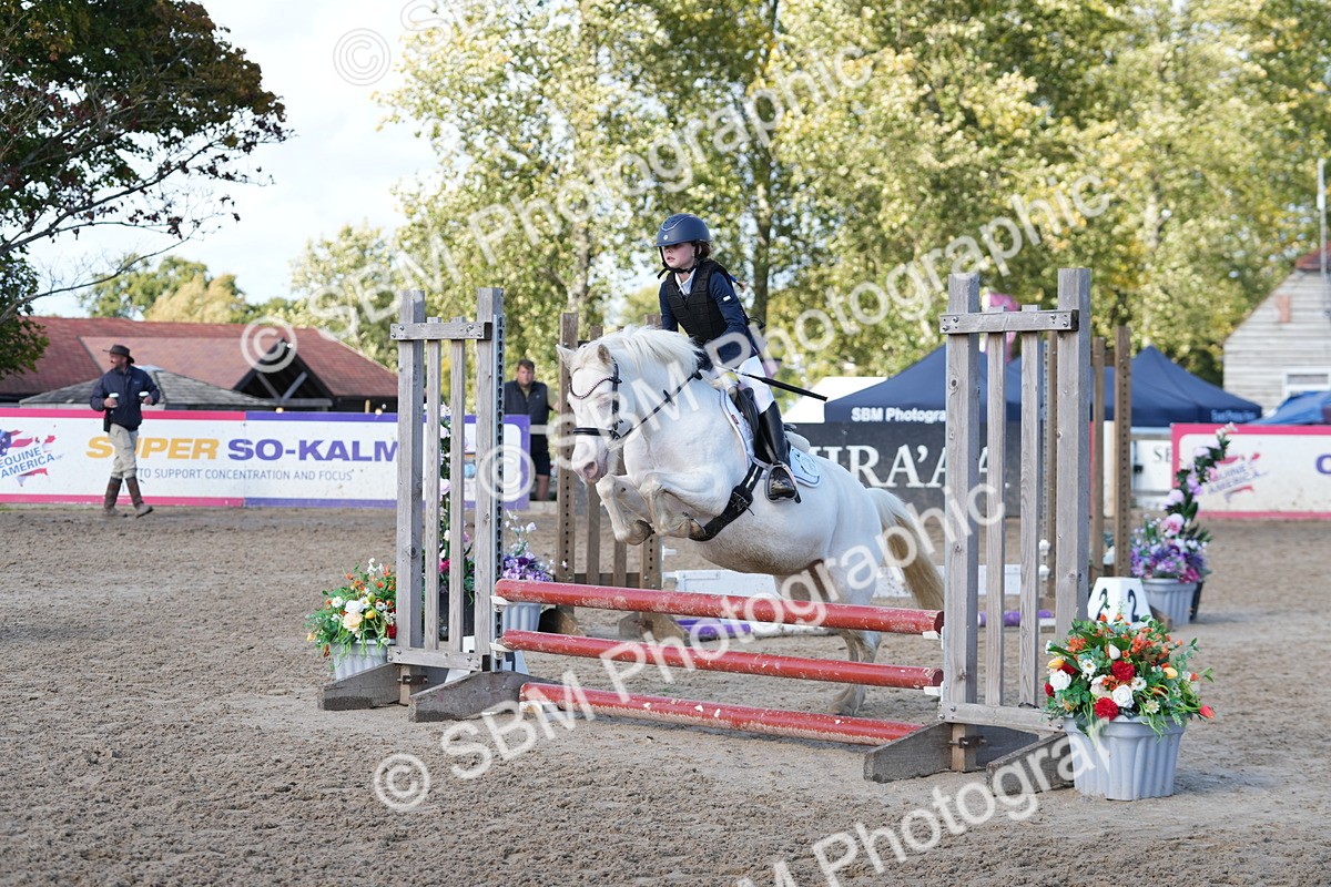 SBM_46555 - J7 - Junior Pony 60cm Championship
