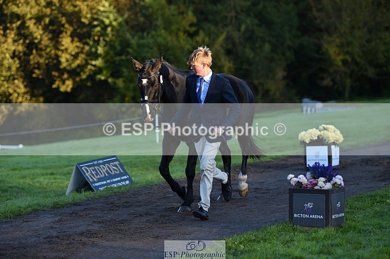 231022-085556-21454 - 615-MBF.JOEY-Tommy.Marsden-TrotUp+SJ