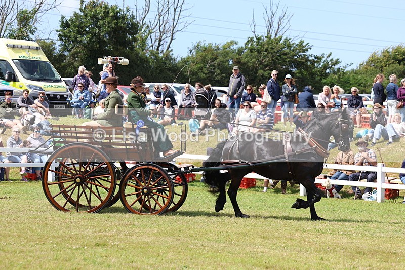3E7A2833 - Class 12: Open Driving