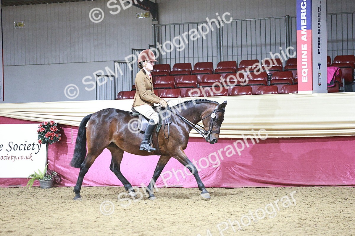 SBM_08044 - Class 11R - Regional Ridden Veteran