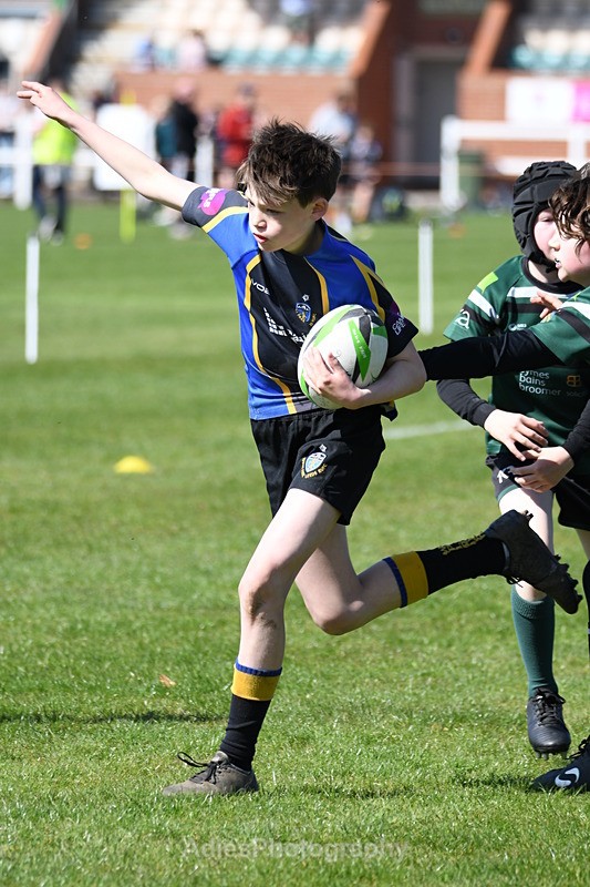  - Selby Rugby Festival 2025