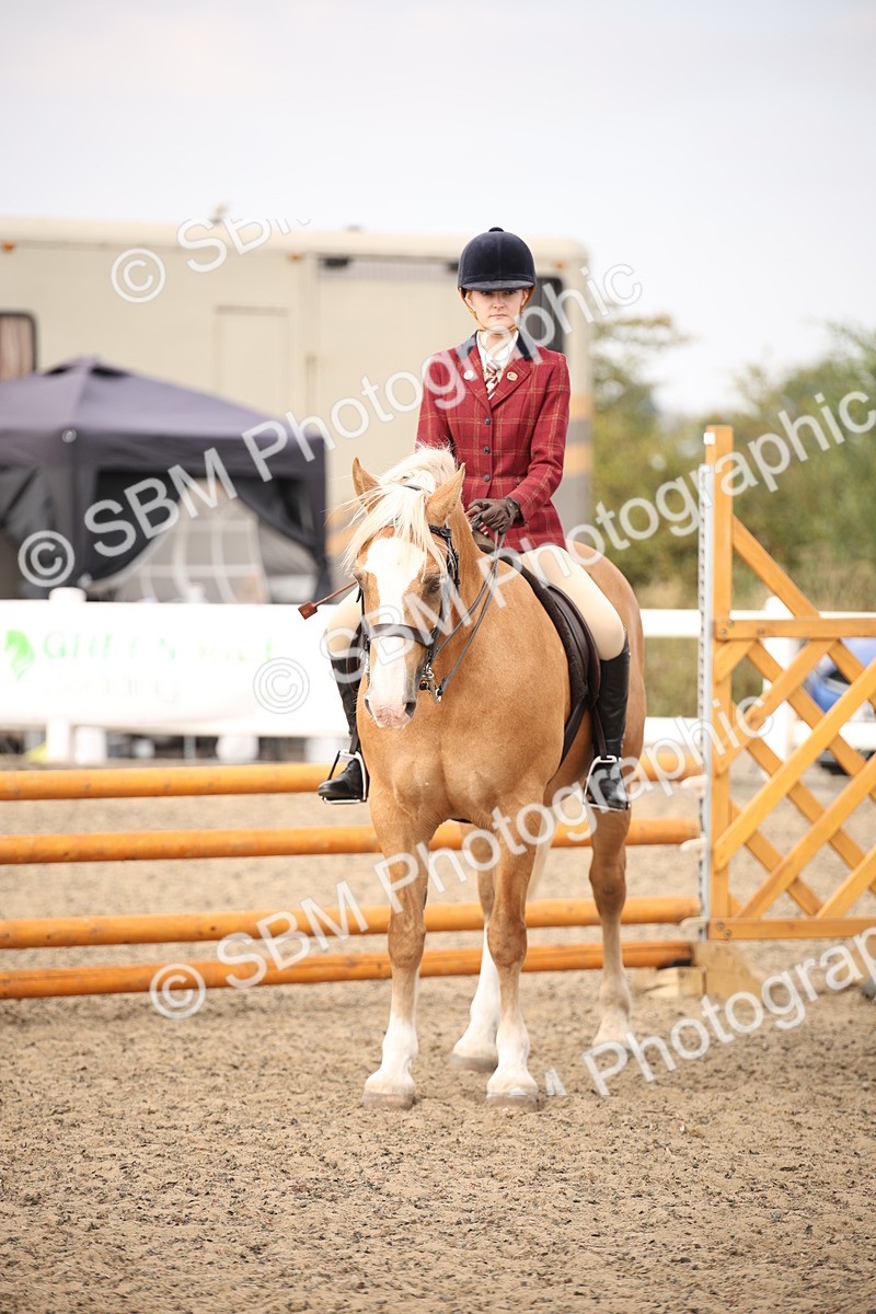 SBM_16233 - Class 409a - Working Veteran 80cm (15-19)