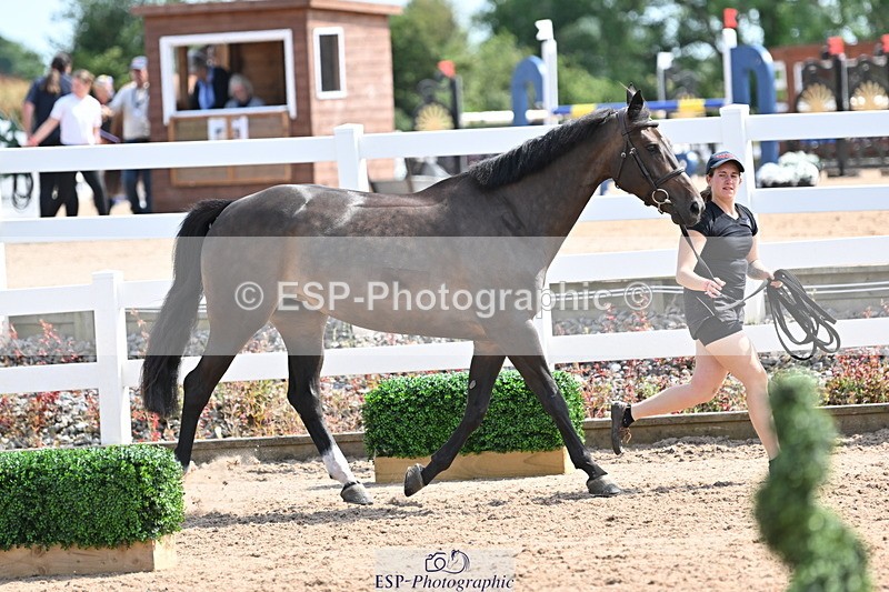 240717A-153816-02936 - Trot Up 3pm to 4pm