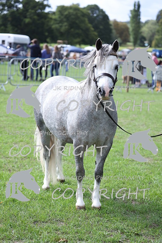 APP_2942 - Class 10a/b M&M in hand