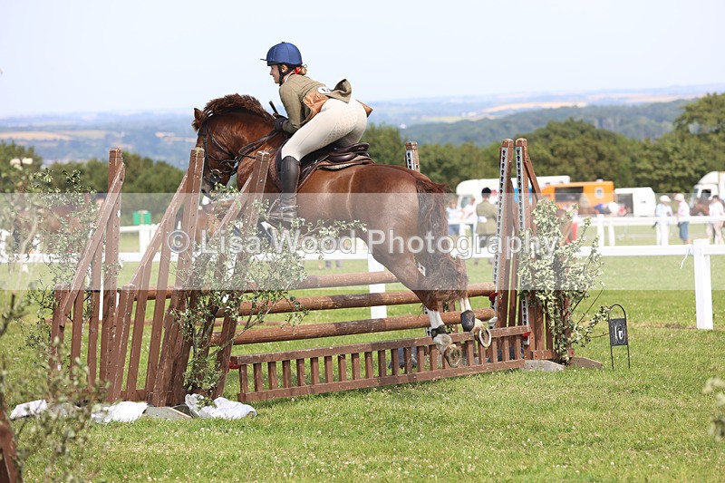 JPP_3694 - Class 23: Working Hunter 80cm