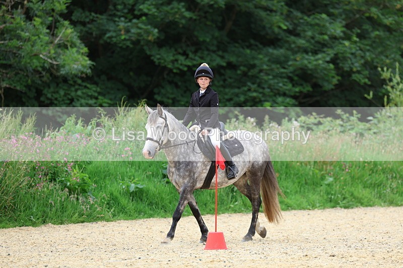 3E7A9572 - Walk trot run