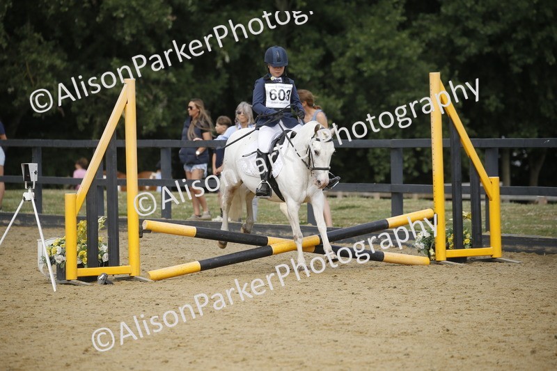 20250622-3605 - 50cm