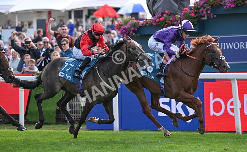 190826-260 Henley On Thames - Race 7 17.20pm Sky Bet Nursery Handicap
